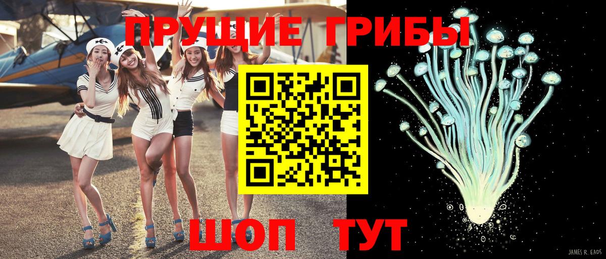 Псилоцибиновые грибы GOLDEN TEACHER Ликино-Дулёво