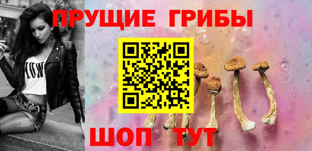 Ликино-Дулёво  Псилоцибиновые грибы Psilocybine cubensis  Вход с VPN 